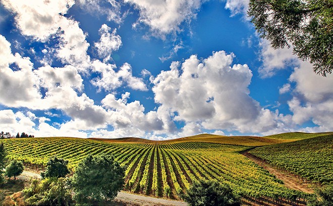 7 motivi per cui Santa Rosa è il segreto meglio custodito dei paesi del vino 